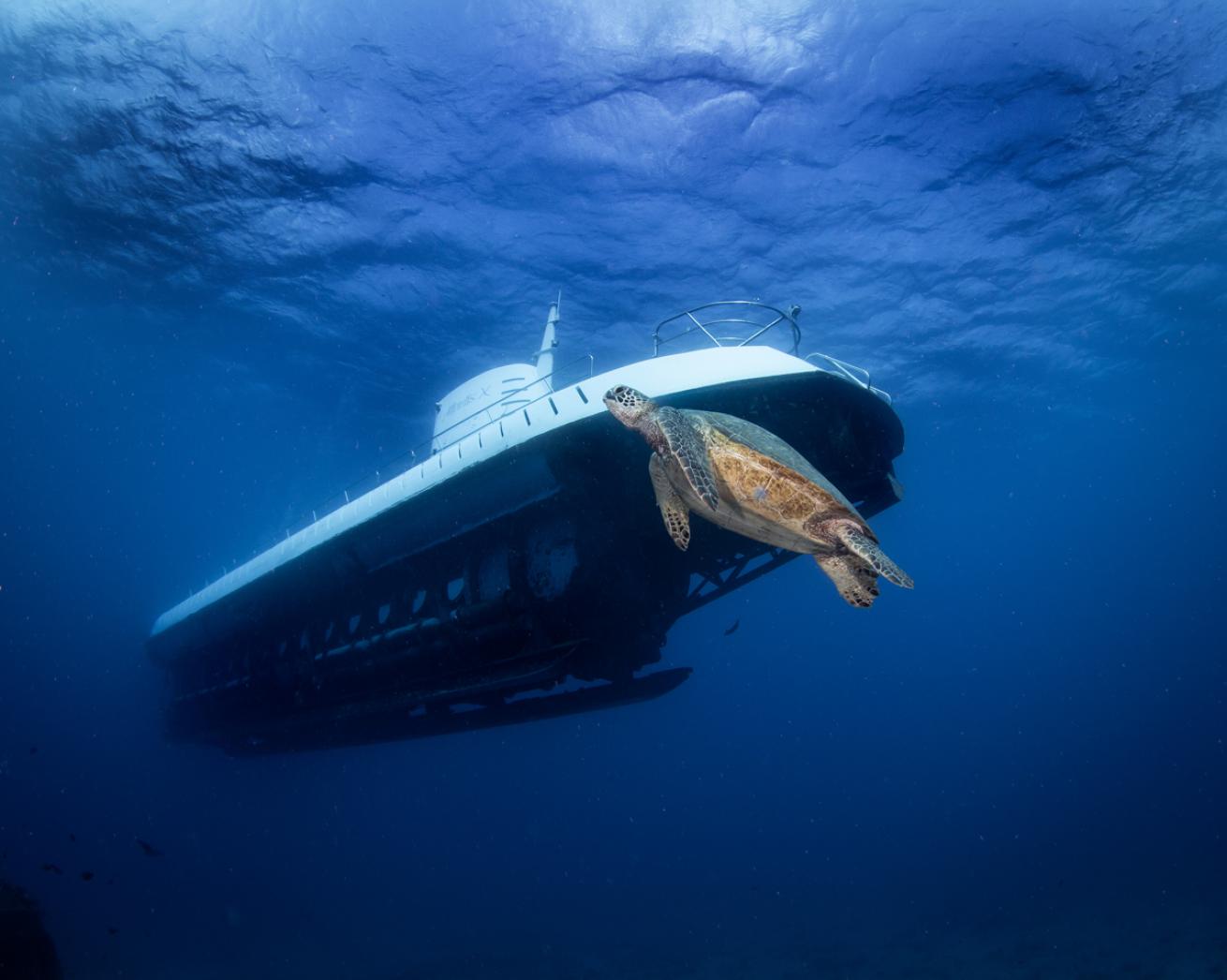 Atlantis Submarine and YO-257