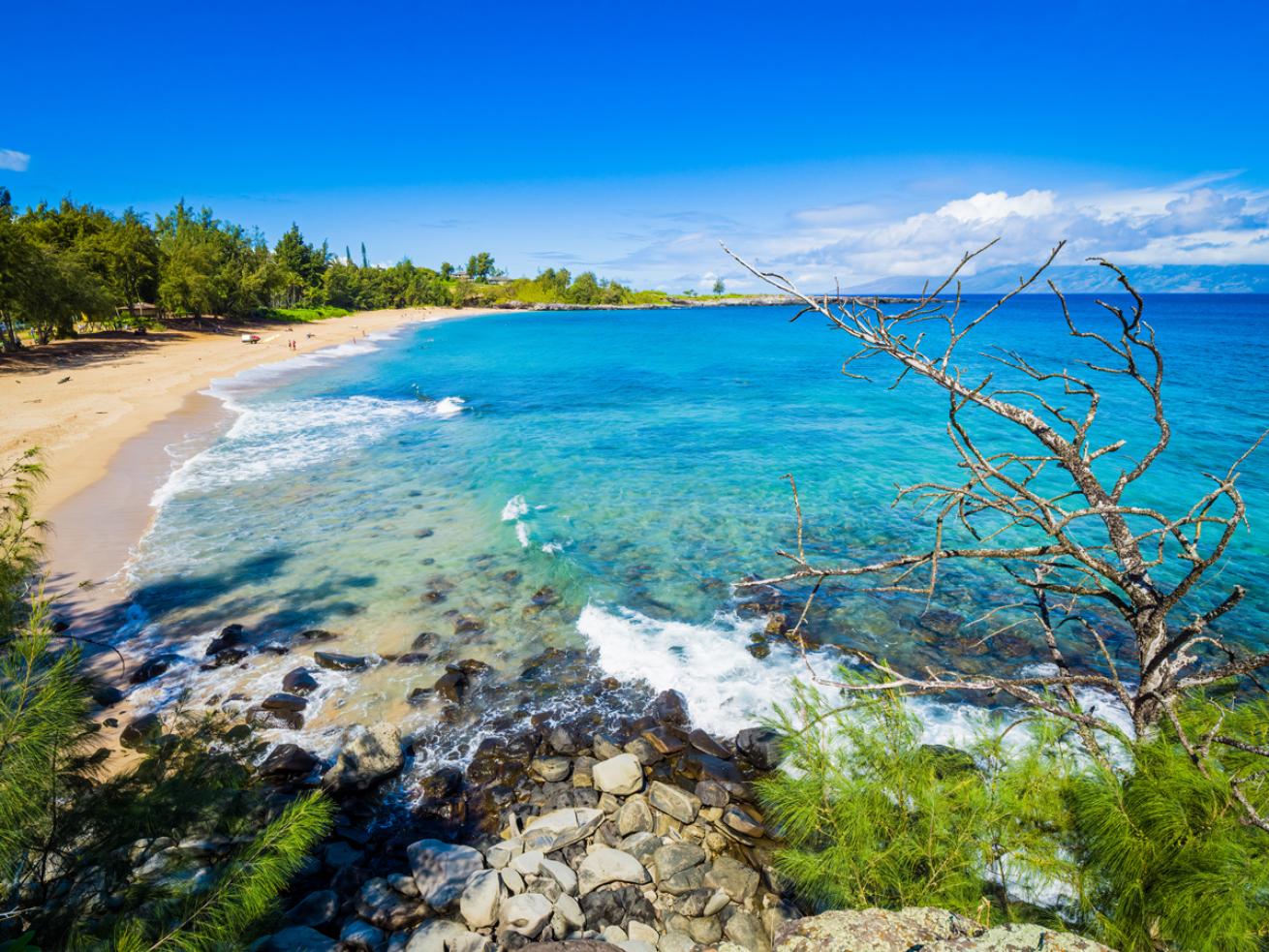 Honolua Bay in Maui Hawaii