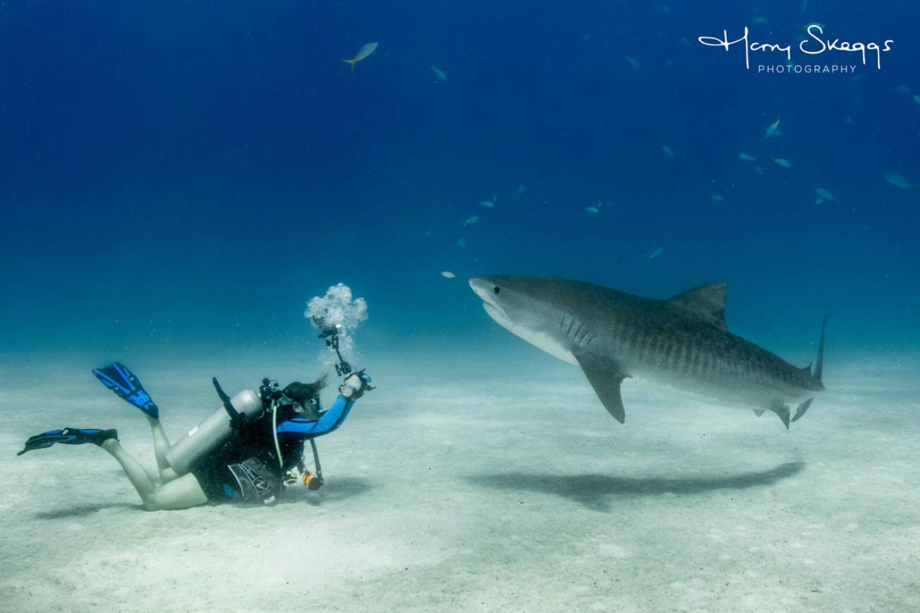 Samantha Whitcraft with Tiger Shark 