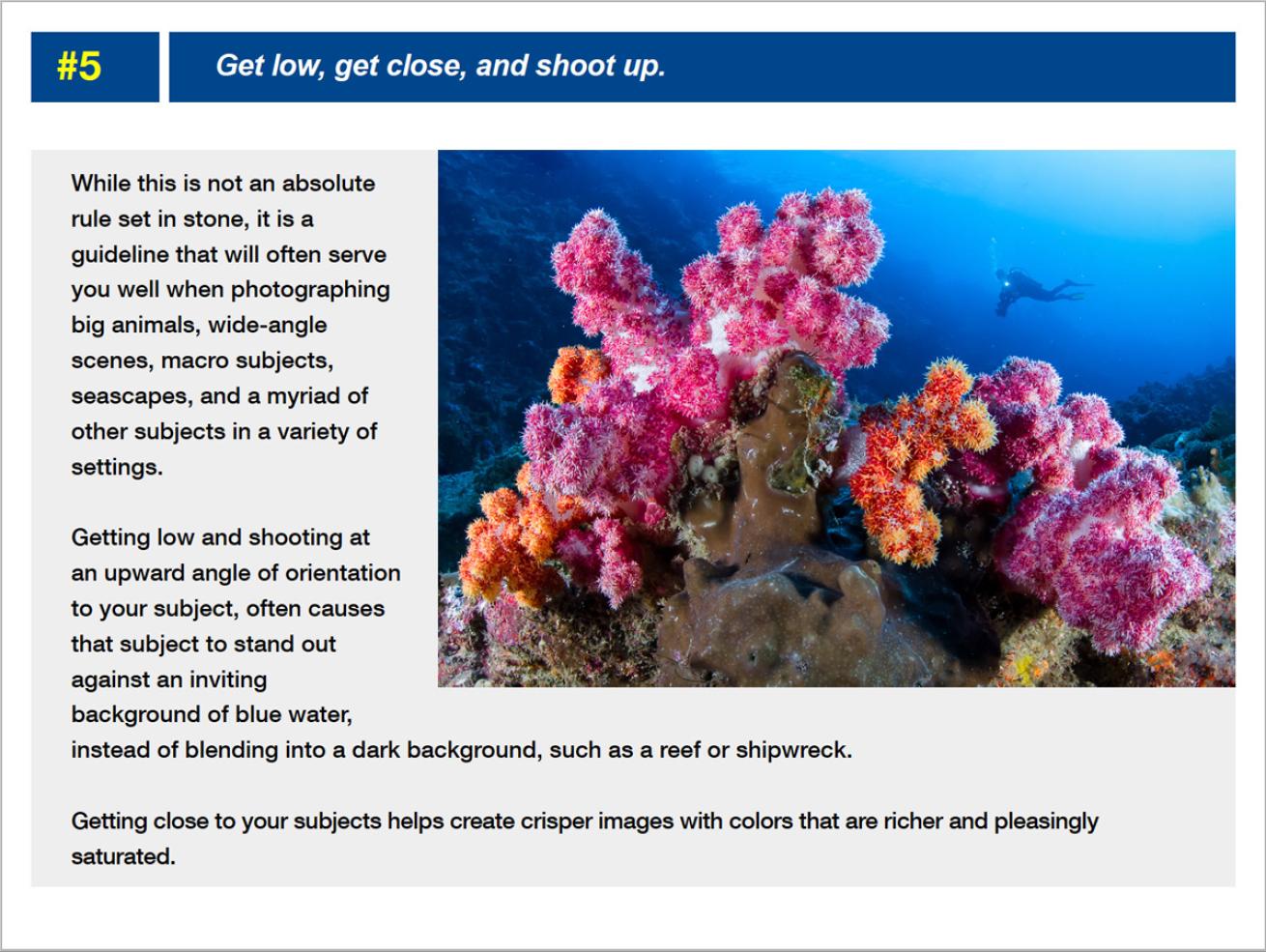 101 Tips for Underwater Photographers Book Excerpt 