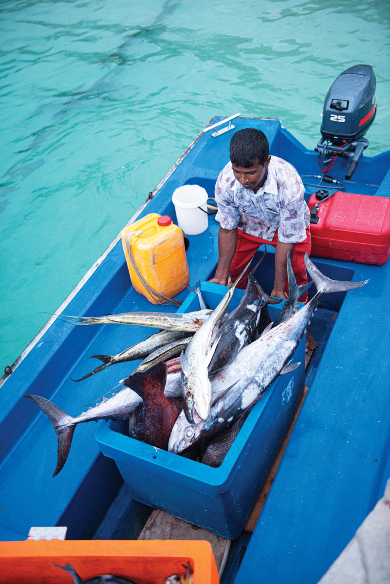 Fisherman in Maldives