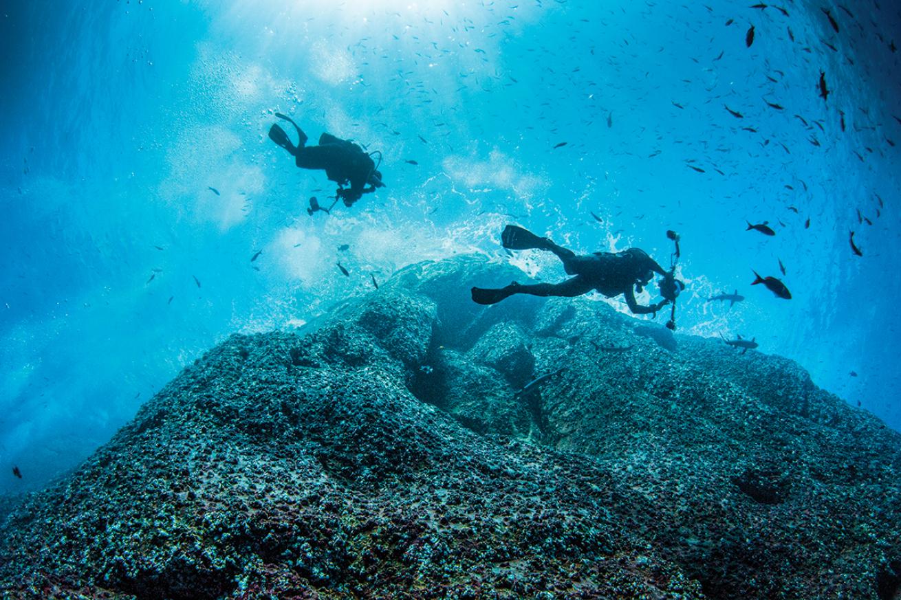 Divers descend at Roca Partida, Mexico