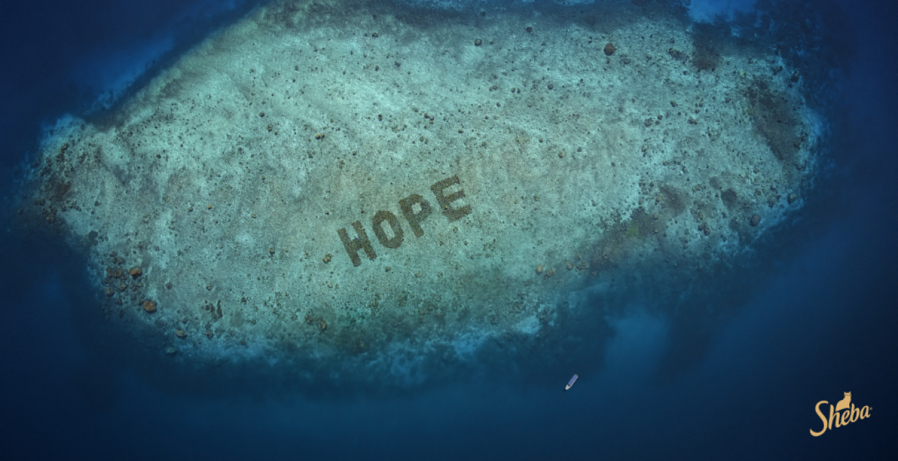 Google Earth shot of Hope Reef