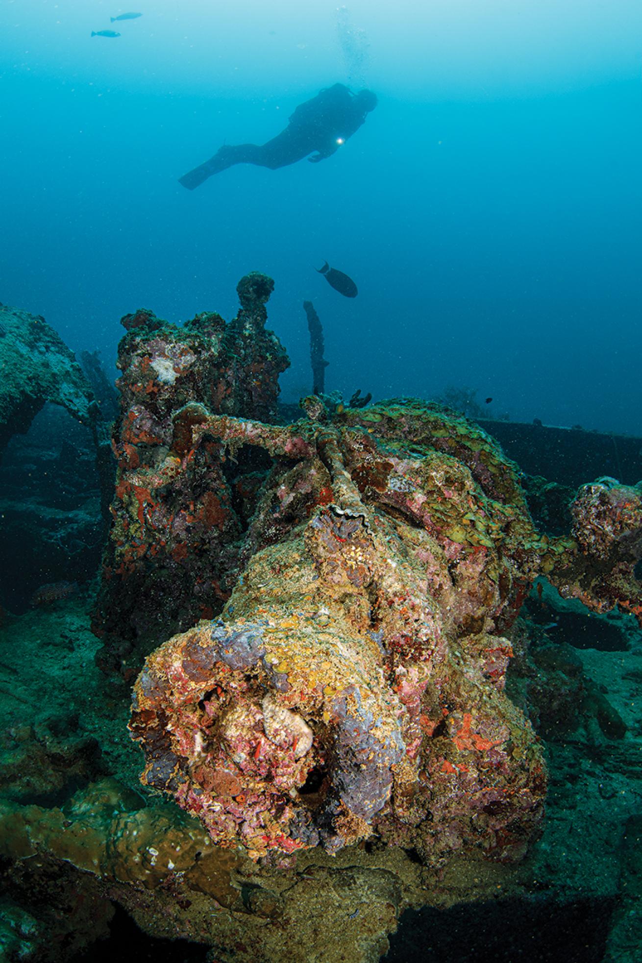 Diver swims over Maru #2