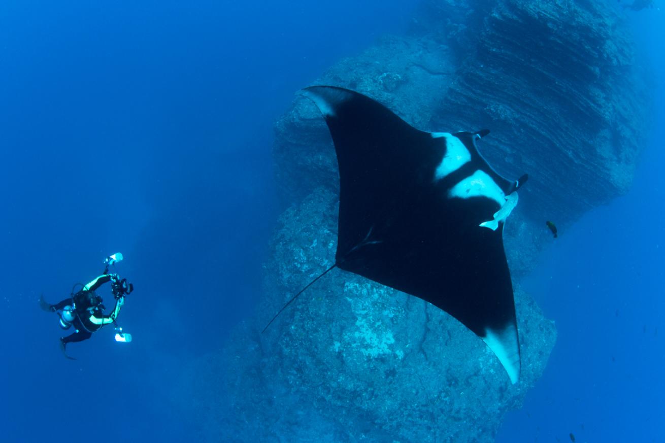 Manta Mexico’s Revillagigedo Islands