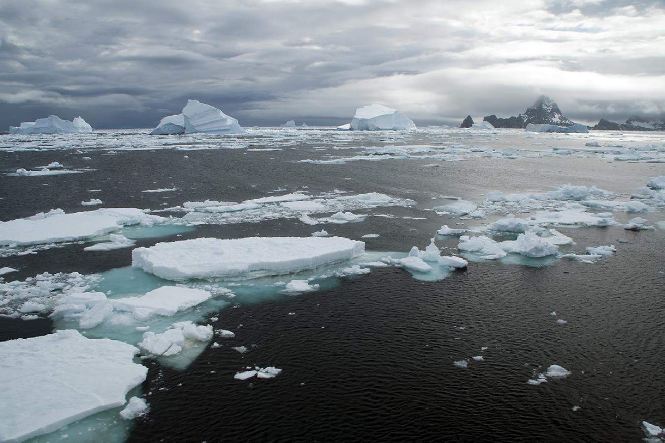Ice floats in Antarctic waters