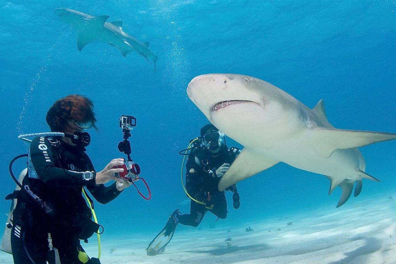 Scuba diver underwater holding a camera taking a picture of a shark