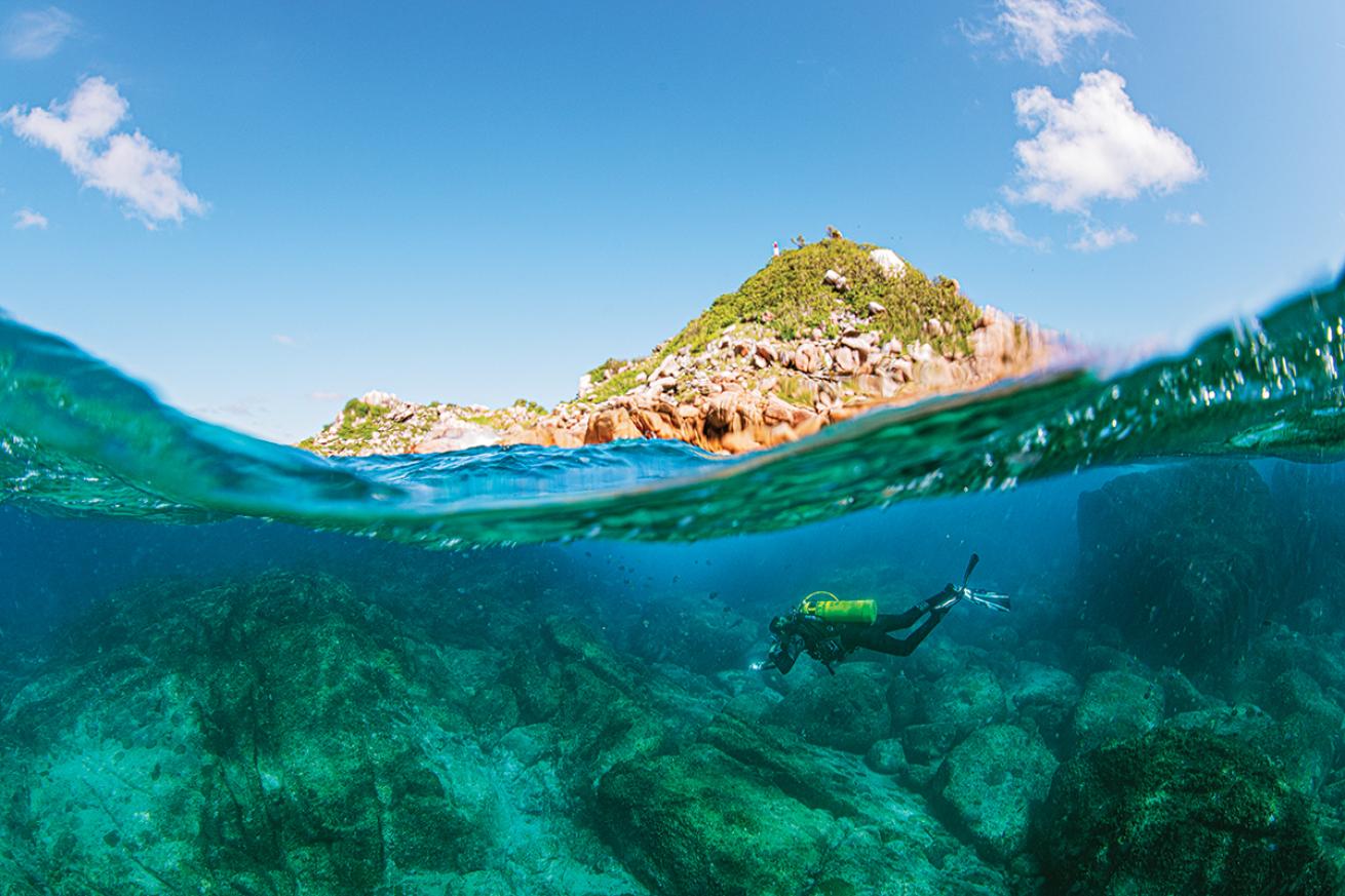 An under-over split image shows a diver swimming near the surface as a rocky formation partially covered in vegetation protrudes in the background.