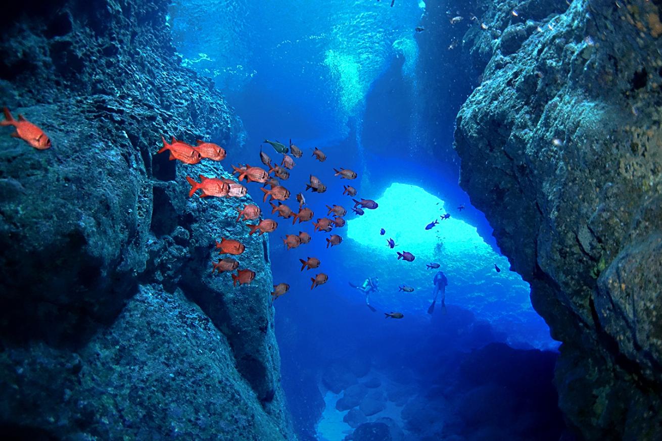Diver and fish in Guam&#039;s Blue Hole