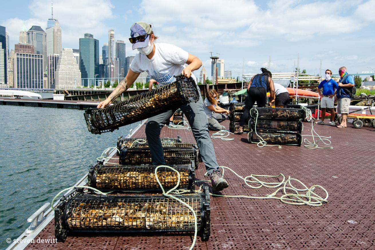Oyster cages in Brooklyn Bridge Park