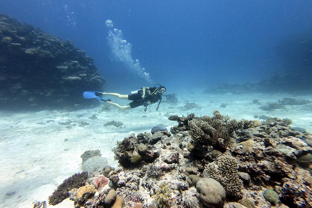 Diver in Kabra reef