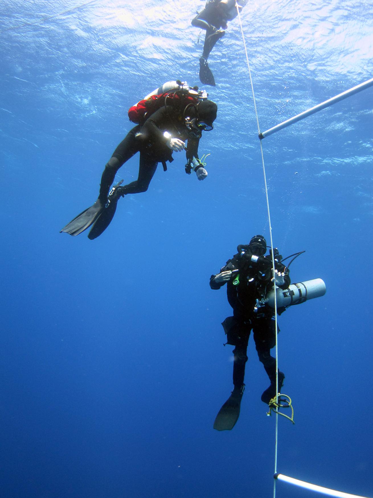 Support tech divers near decompression ladder