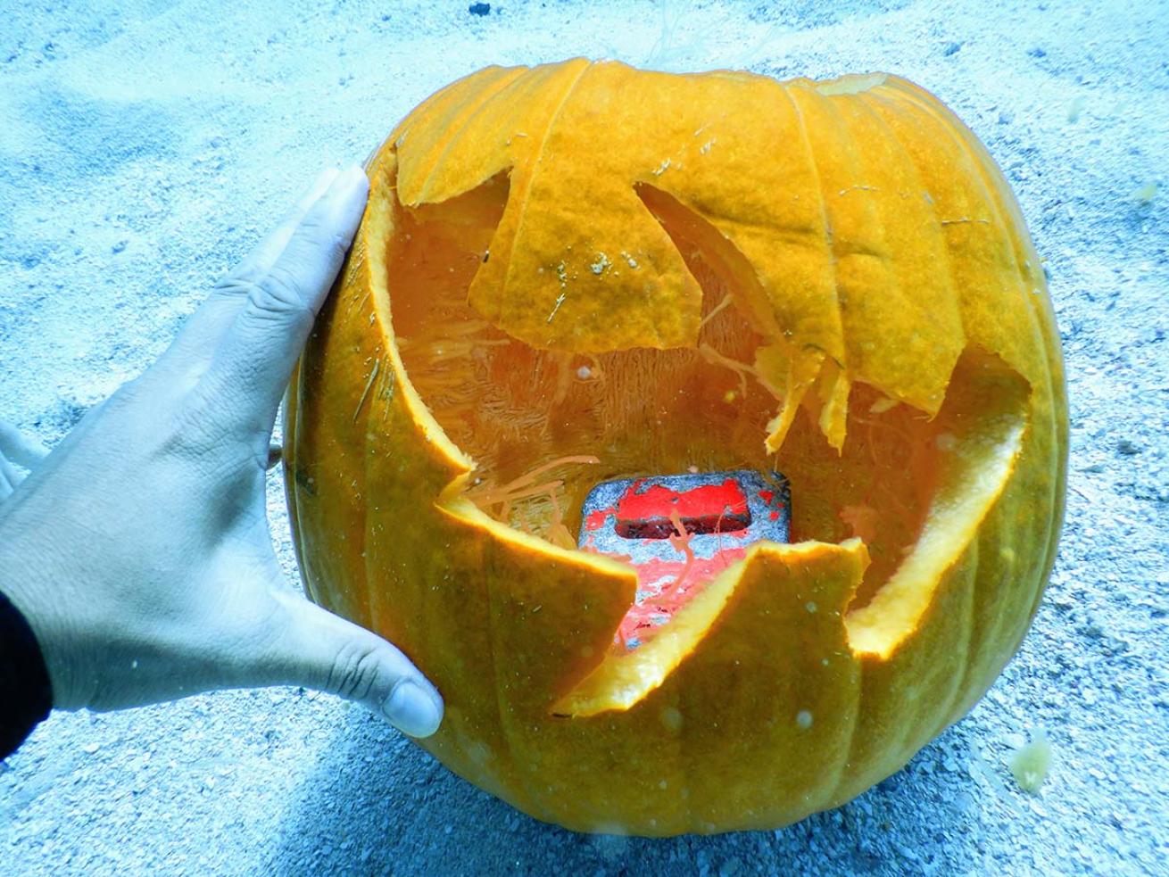 Carved pumpkin underwater