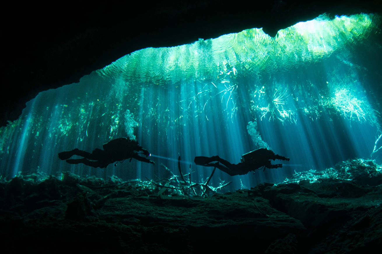 Divers in cenote