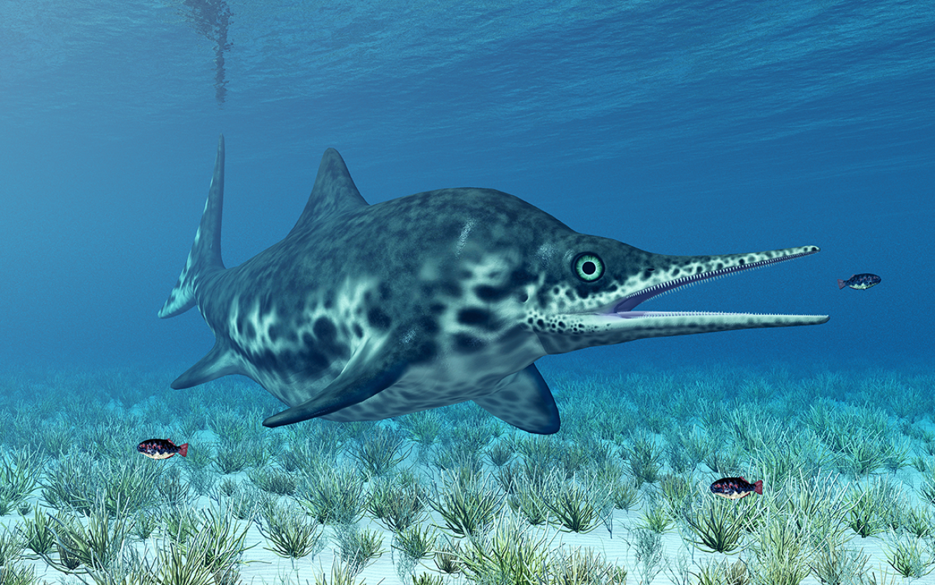 ichthyosaur rendering