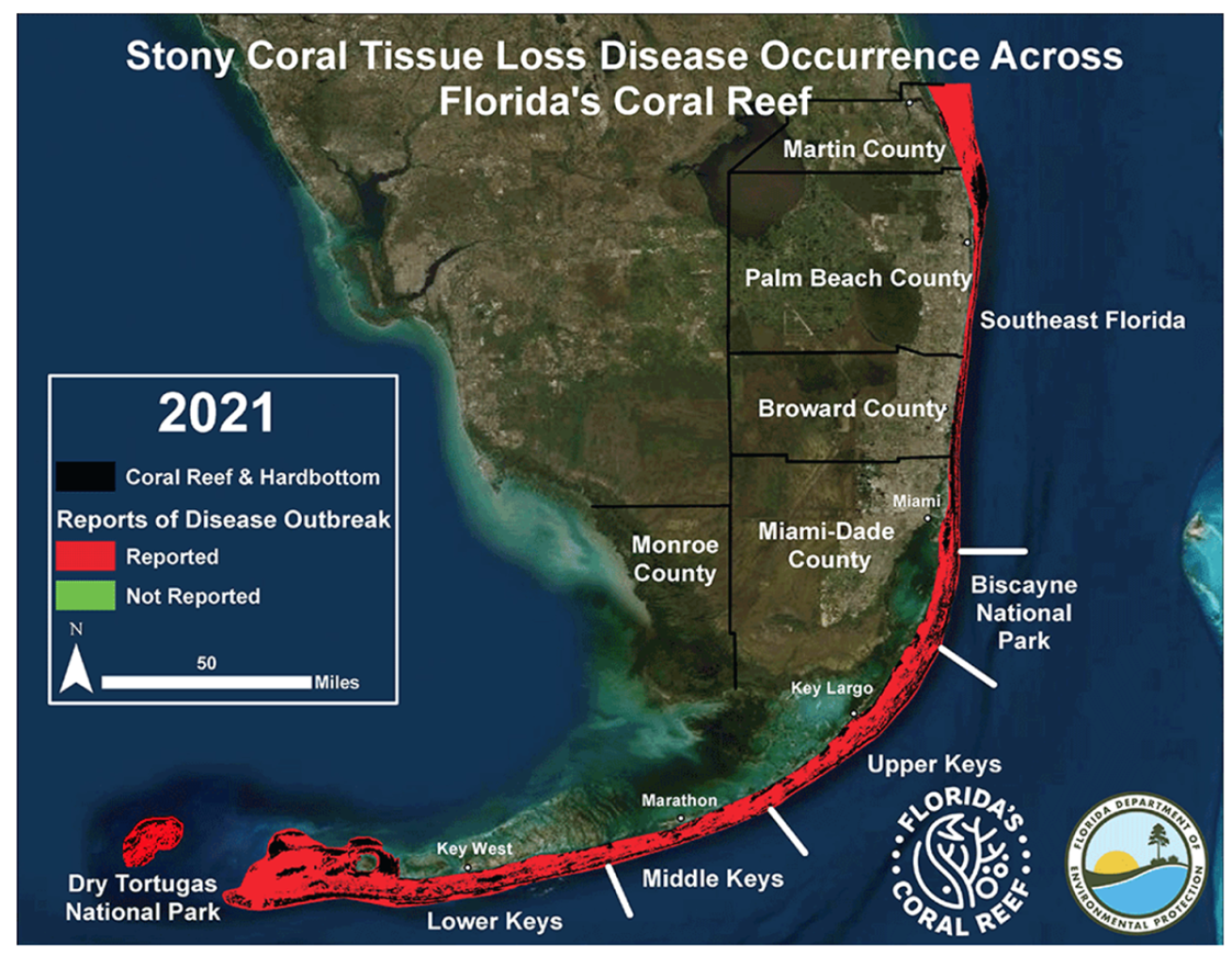 Map Florida stony coral tissue loss disease outbreak