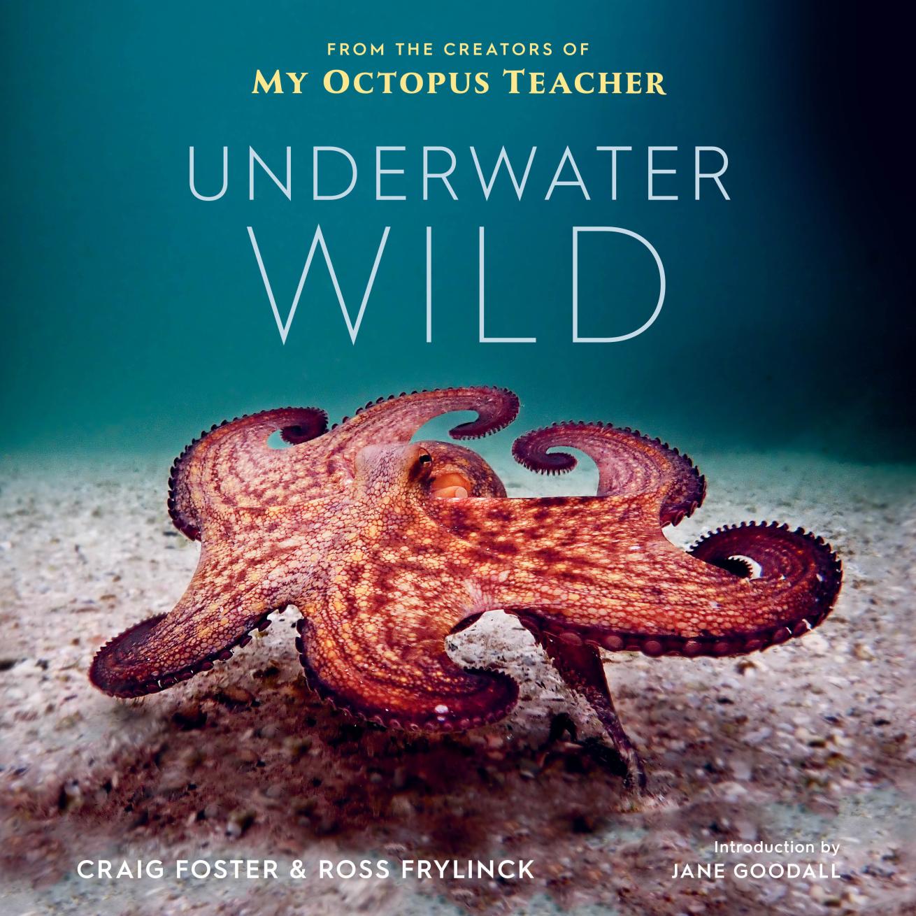underwaterwild.book_.scubadivingmagazine2022