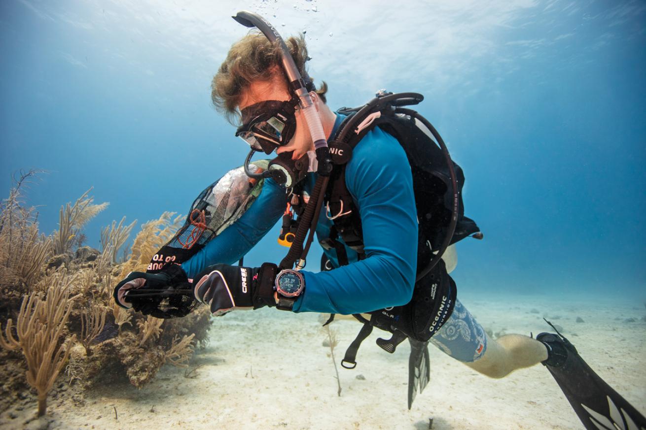 Dive Watch Diver Scuba Diving Magazine March 2022