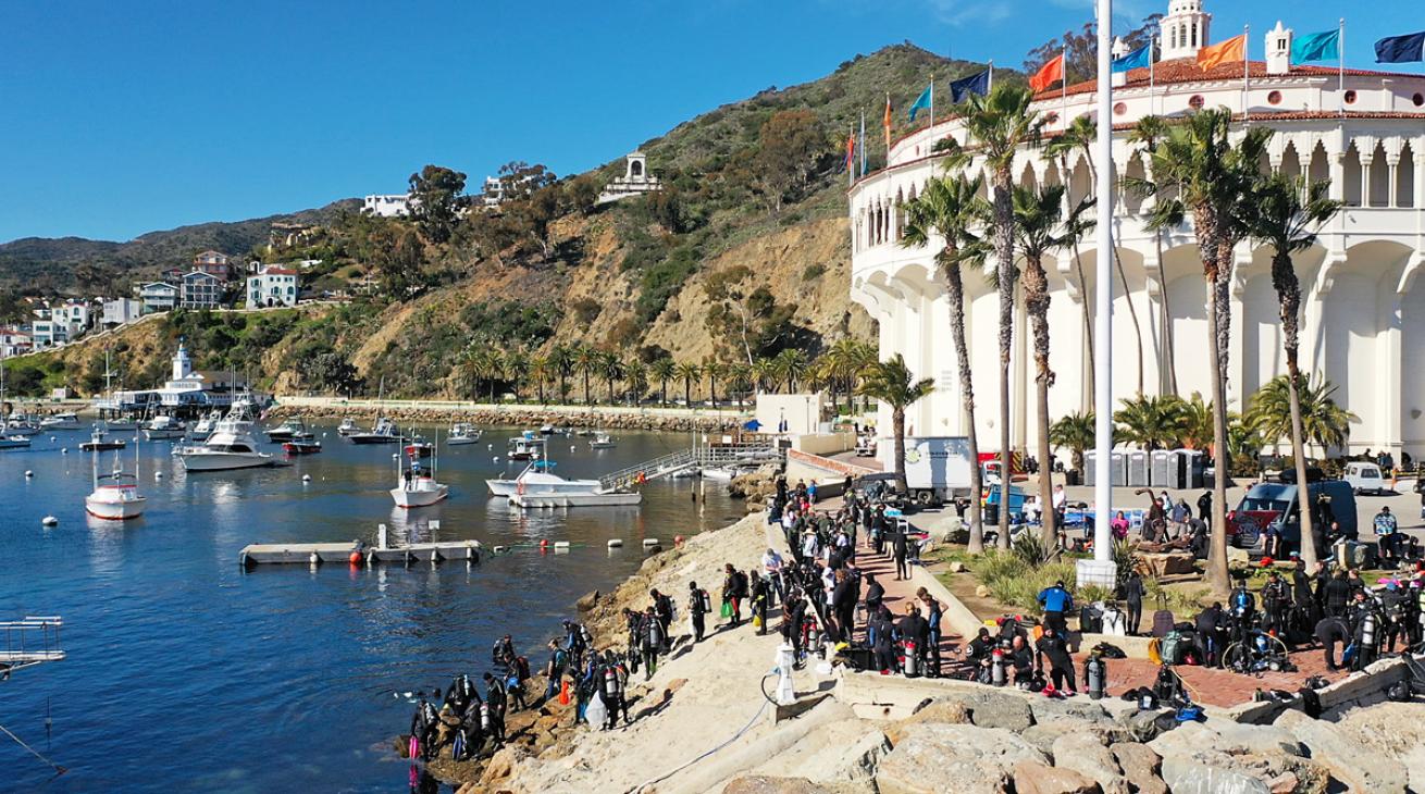 Divers at Catalina&#039;s Casino Point