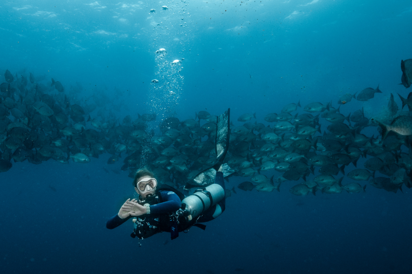 A person in scuba gear underwater