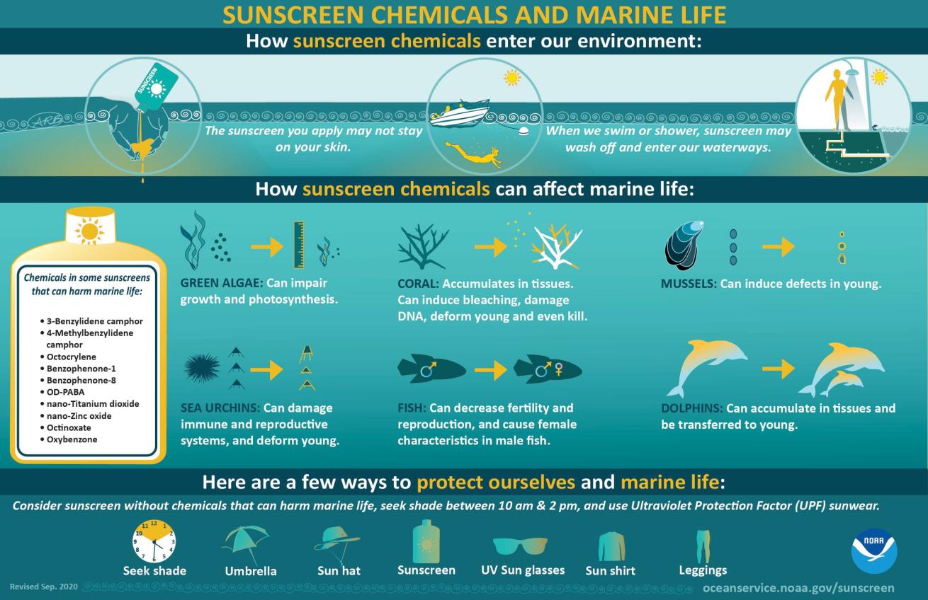 NOAA Sunscreen Reef infographic