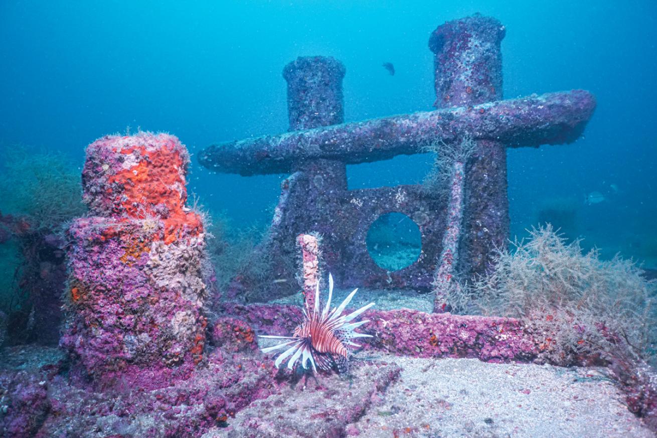 buidlingintotheblue.zeuss_.courtesy_alex_fogg.scubadivingmagazine.june2022