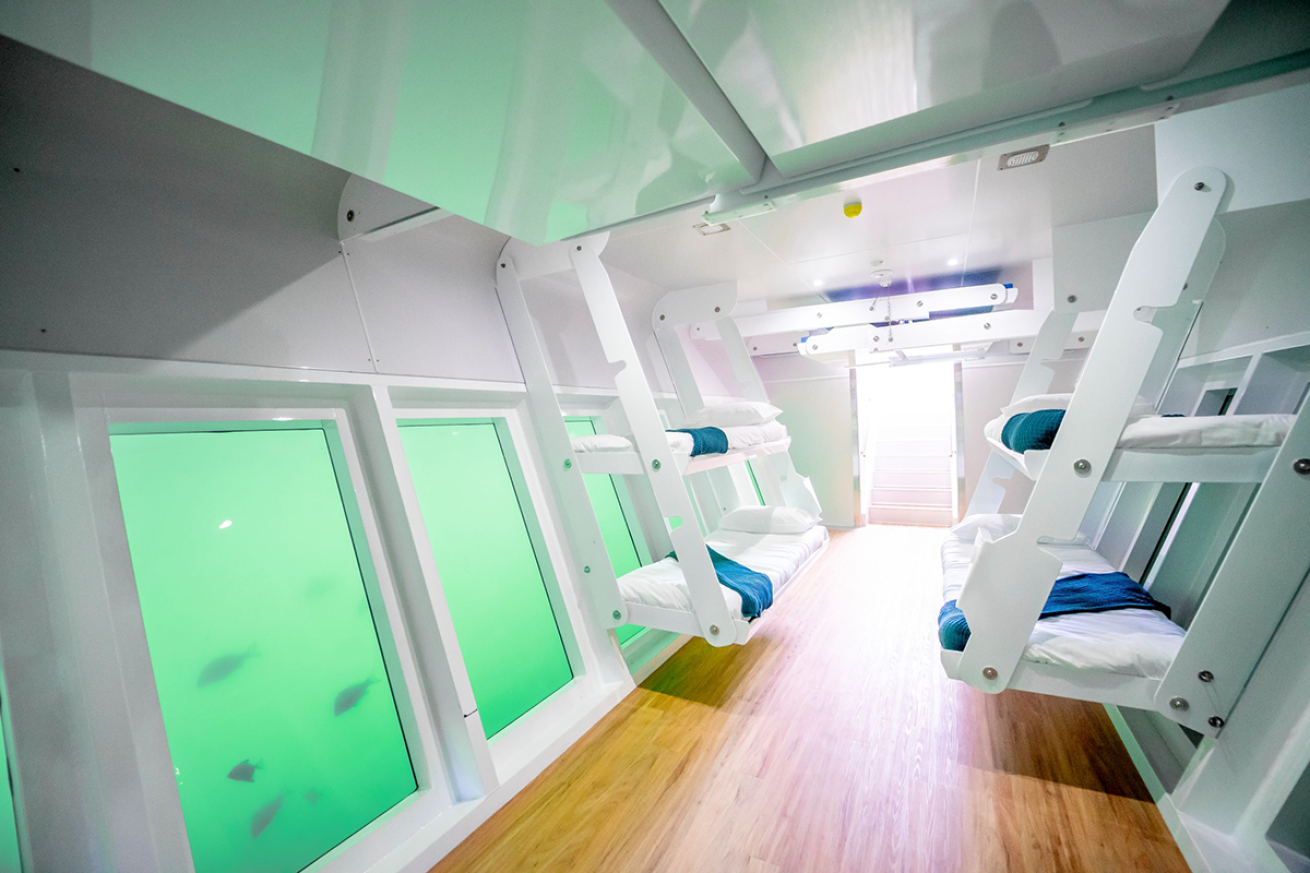 Bunkbeds in a boat with underwater views through water