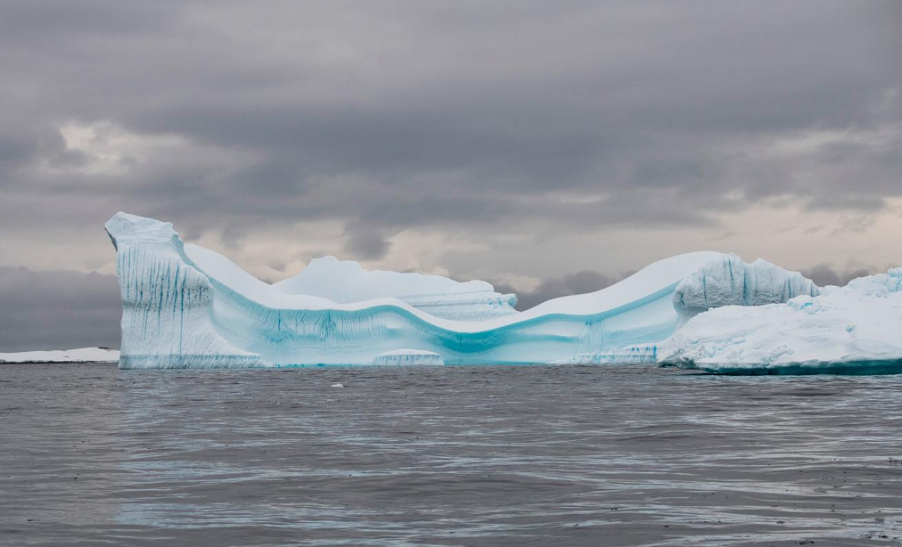 Stunning Photos from the First Antarctic Dive Expedition in Two Years ...