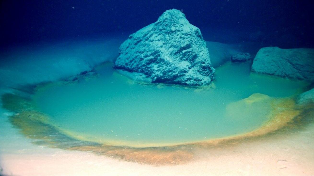 Red Sea Brine Pool