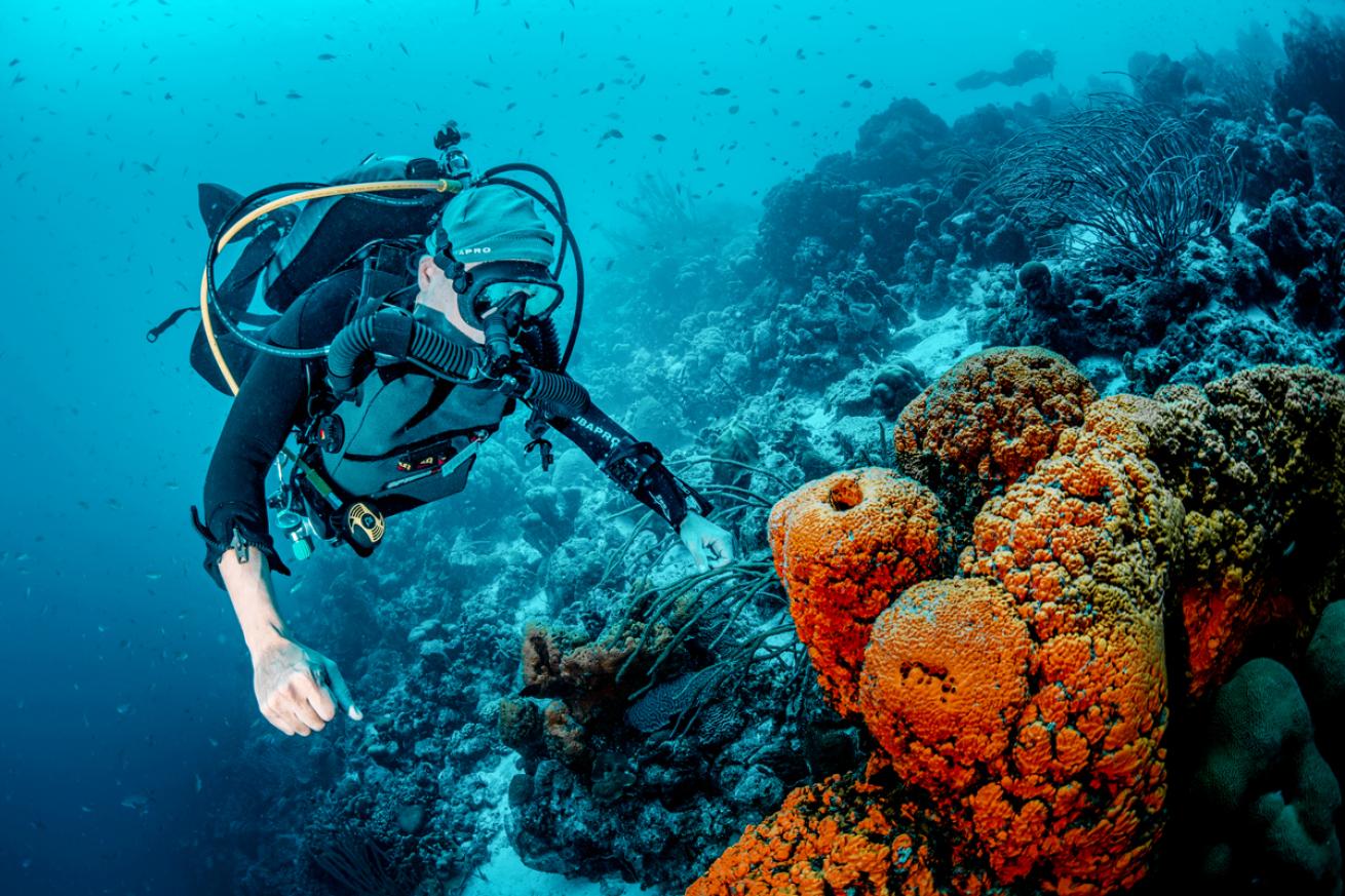 Rebreather diver on reef