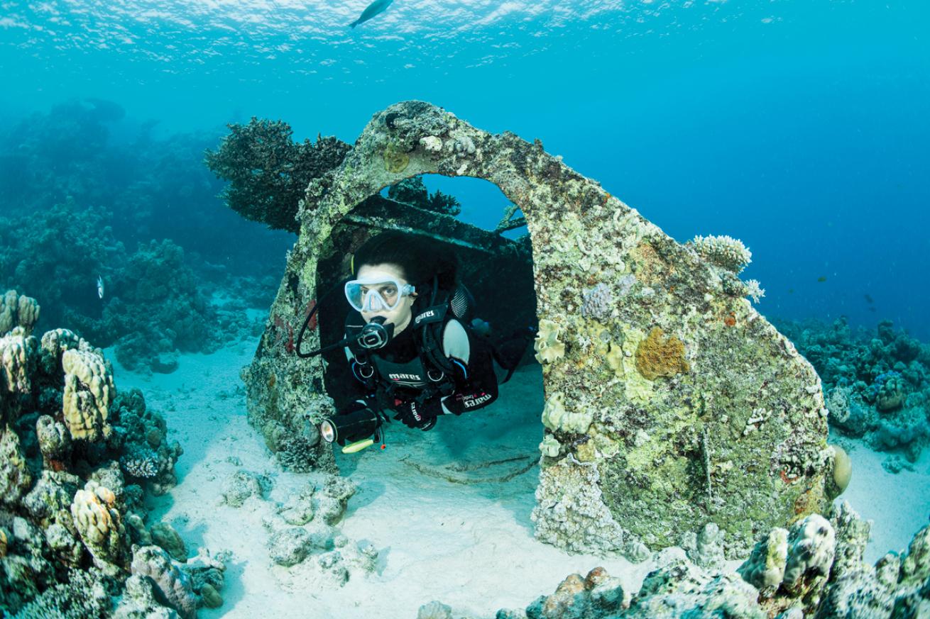 Cousteau Red Sea Habitat