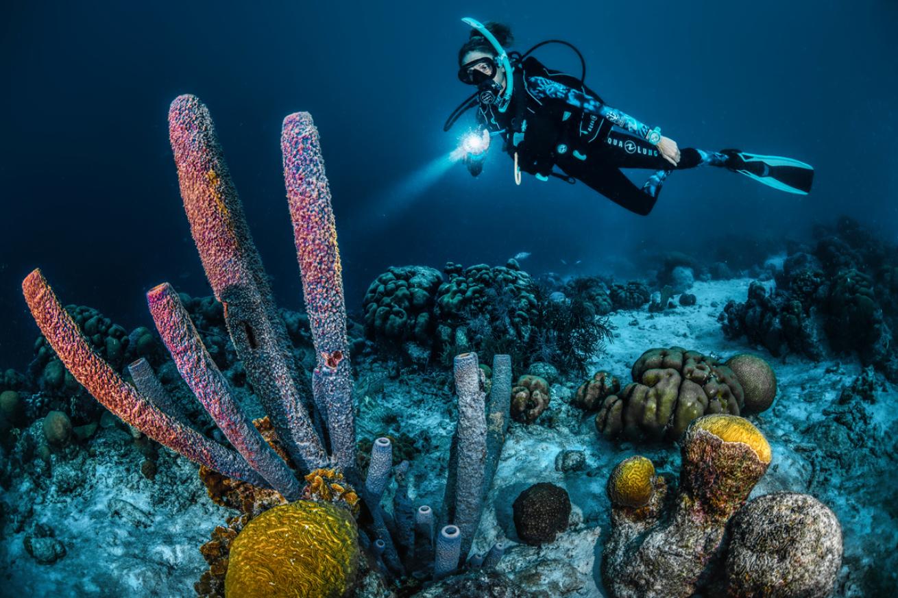 bonaireDiver.LorenzoMittiga.ScubaDivingMag