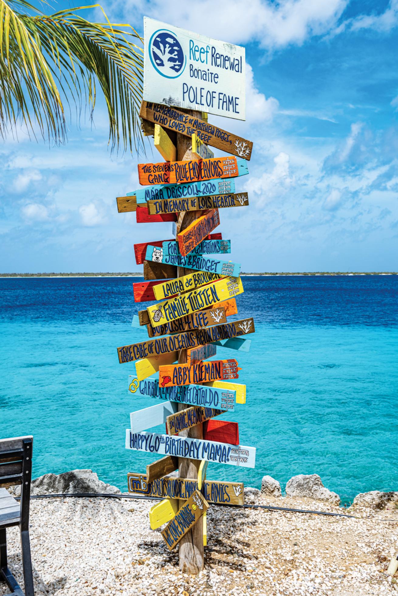 CoralNurserySign.Bonaire.LorenzoMittiga.ScubaDivingMag