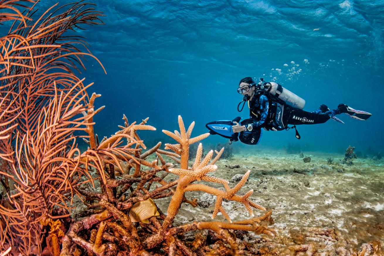 DPVReefDiver.LorenzoMittiga.ScubaDivingMag