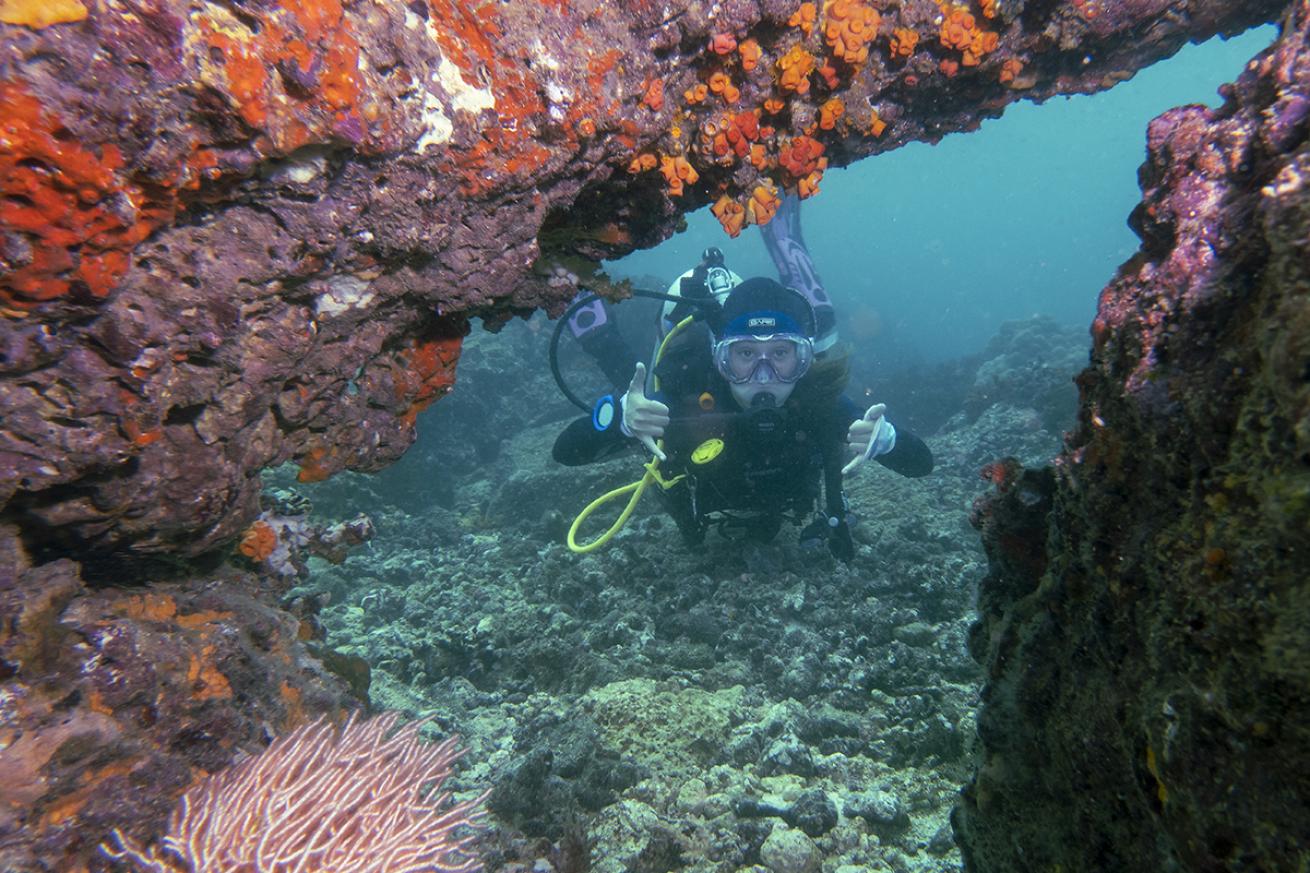 Diving in Cobia National Park