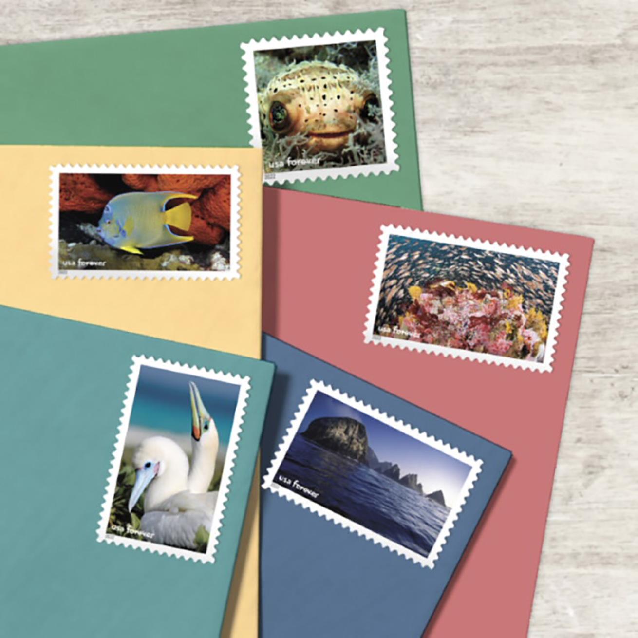 Marine stamps on envelopes