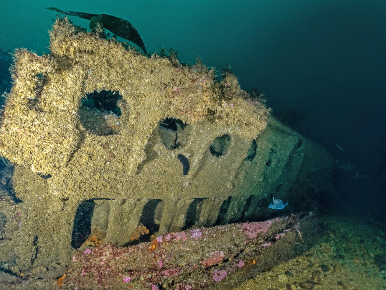 portugal_river-gurara-2.ScubaDivingMag.August2022