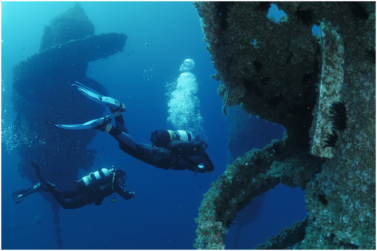 Divers in Wonder Reef