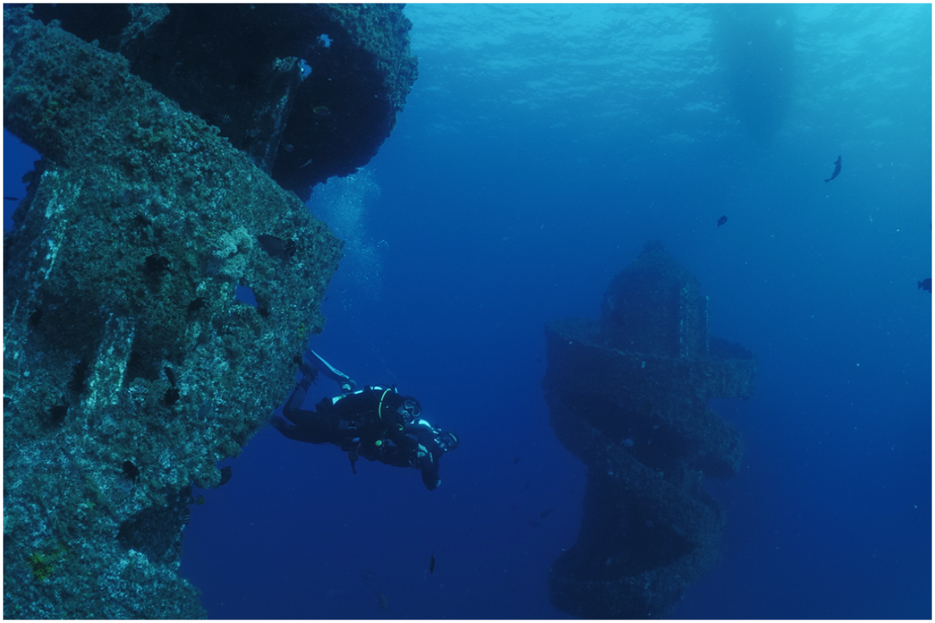 Divers in Wonder Reef