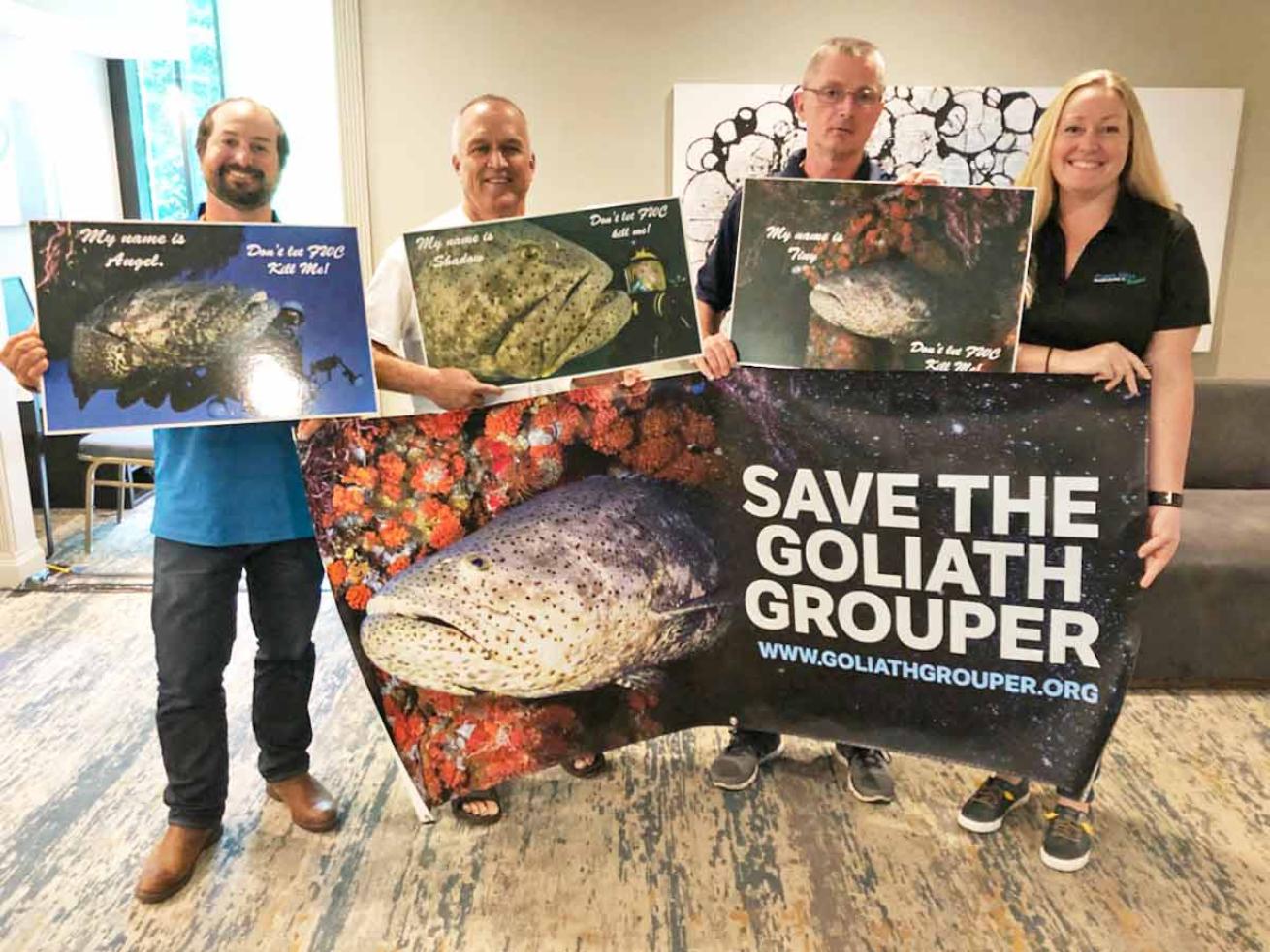 Pura Vida Divers Goliath Grouper Conservation