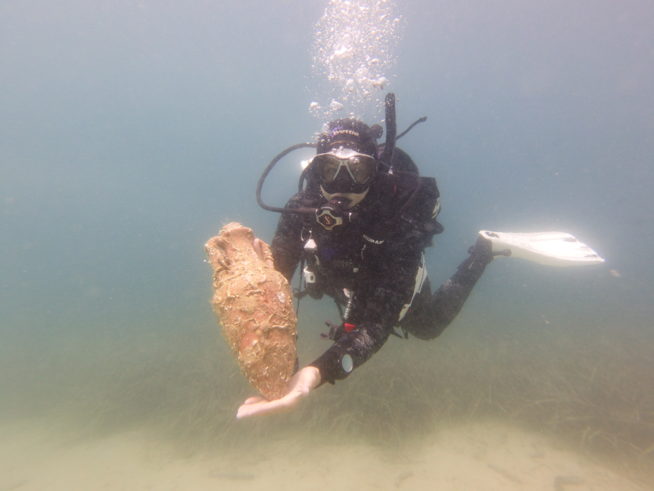 Diver holding amphore.