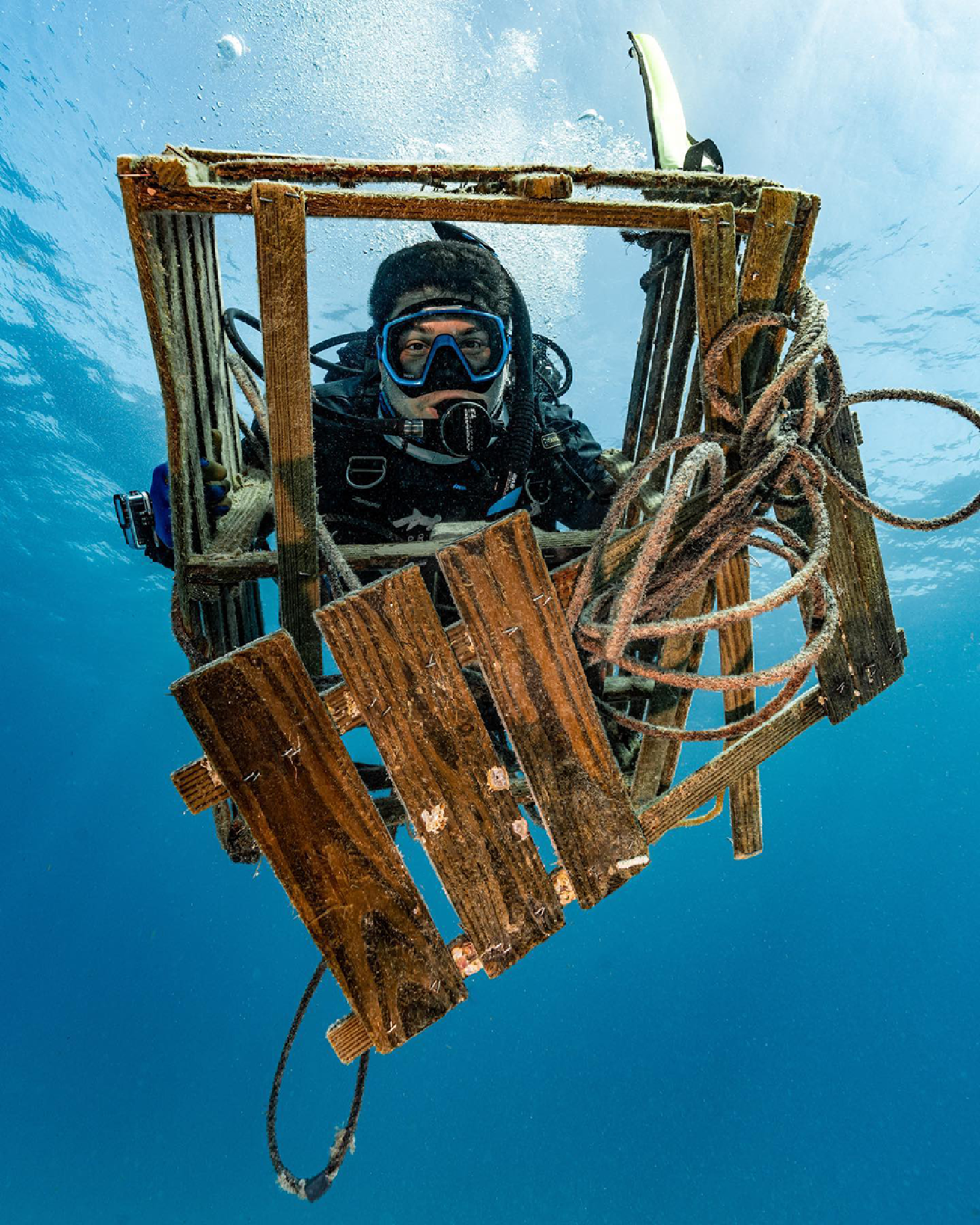 Diver cleans up debris in ocean.