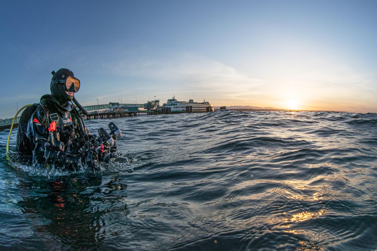 Entry and exit are important for shore diving. 