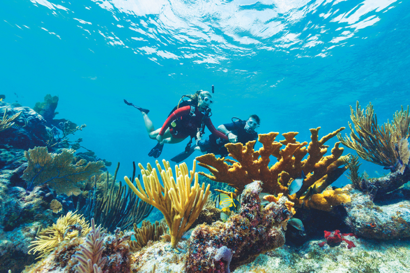 A couple scuba diving over a reef with orange and yellow corals