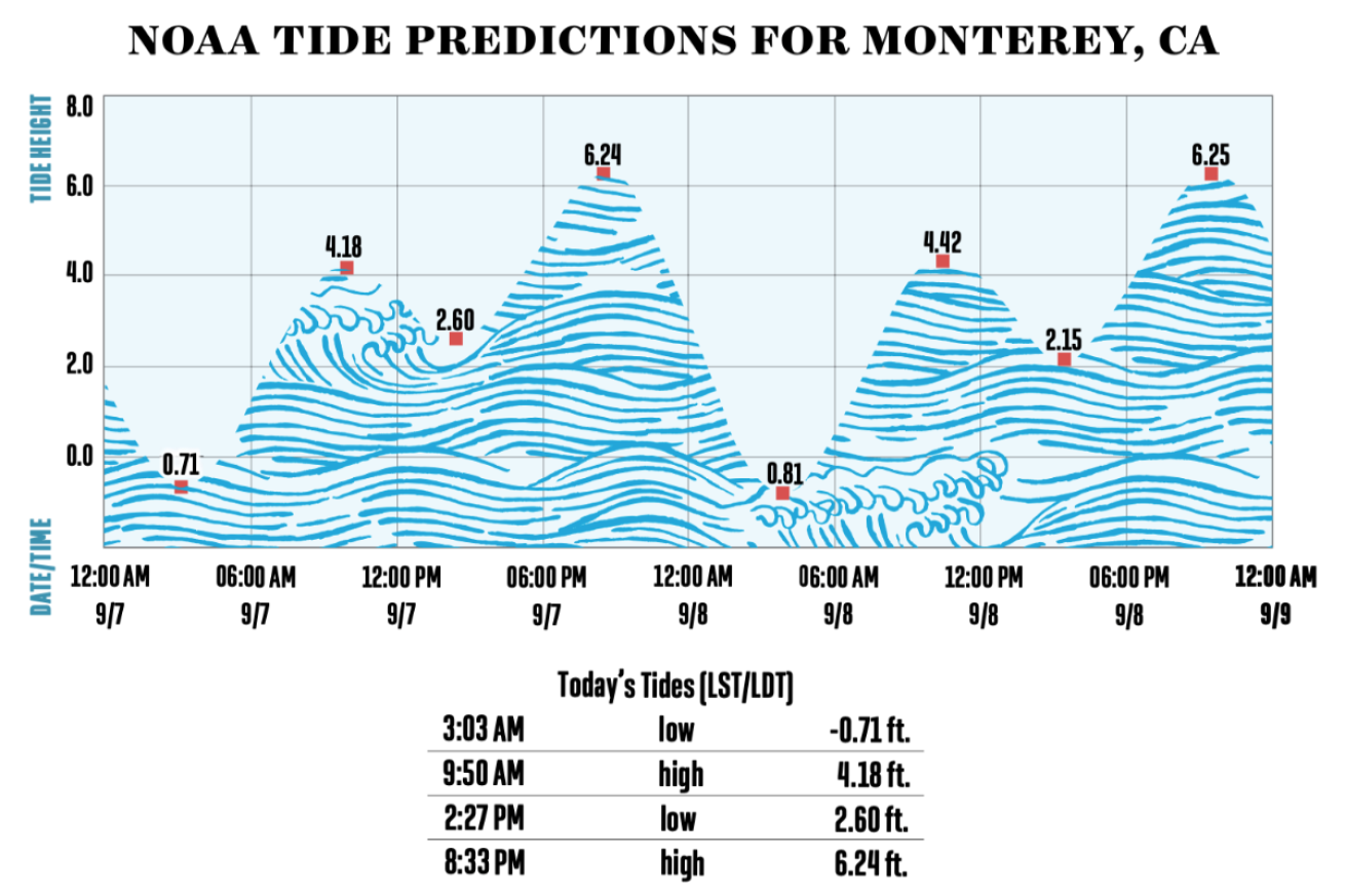 How to Check Water Conditions When Planning a Dive