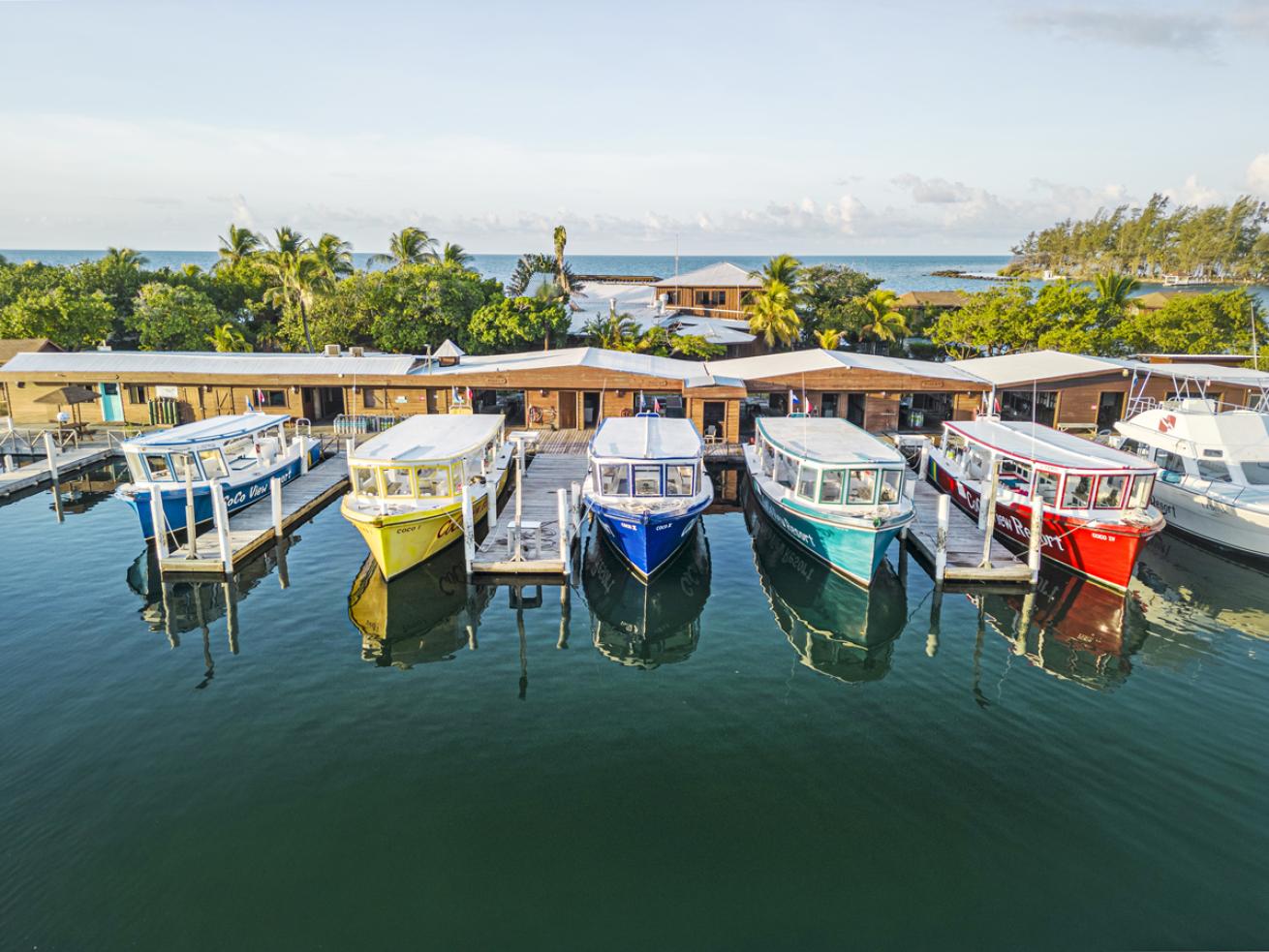 Roatan honduras dive resort