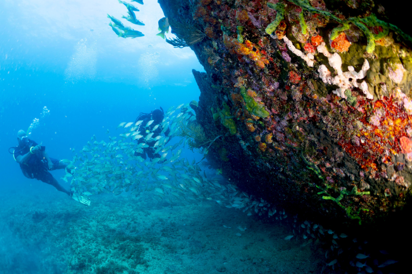 Scuba diver taking a picture of a wreck
