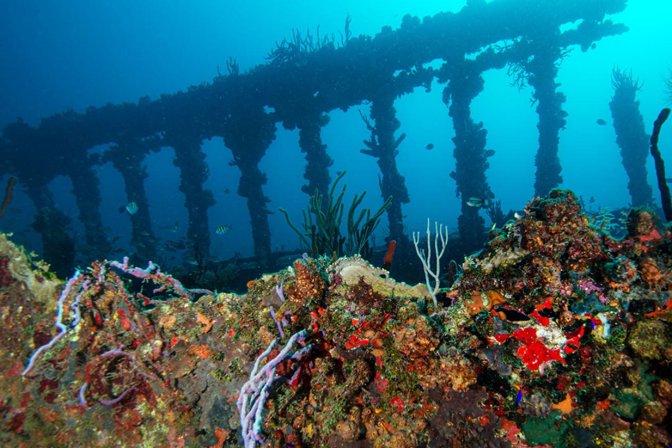 An iconic piece of the RMS Rhone