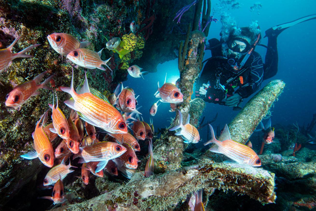 Squirrelfish on Rhone