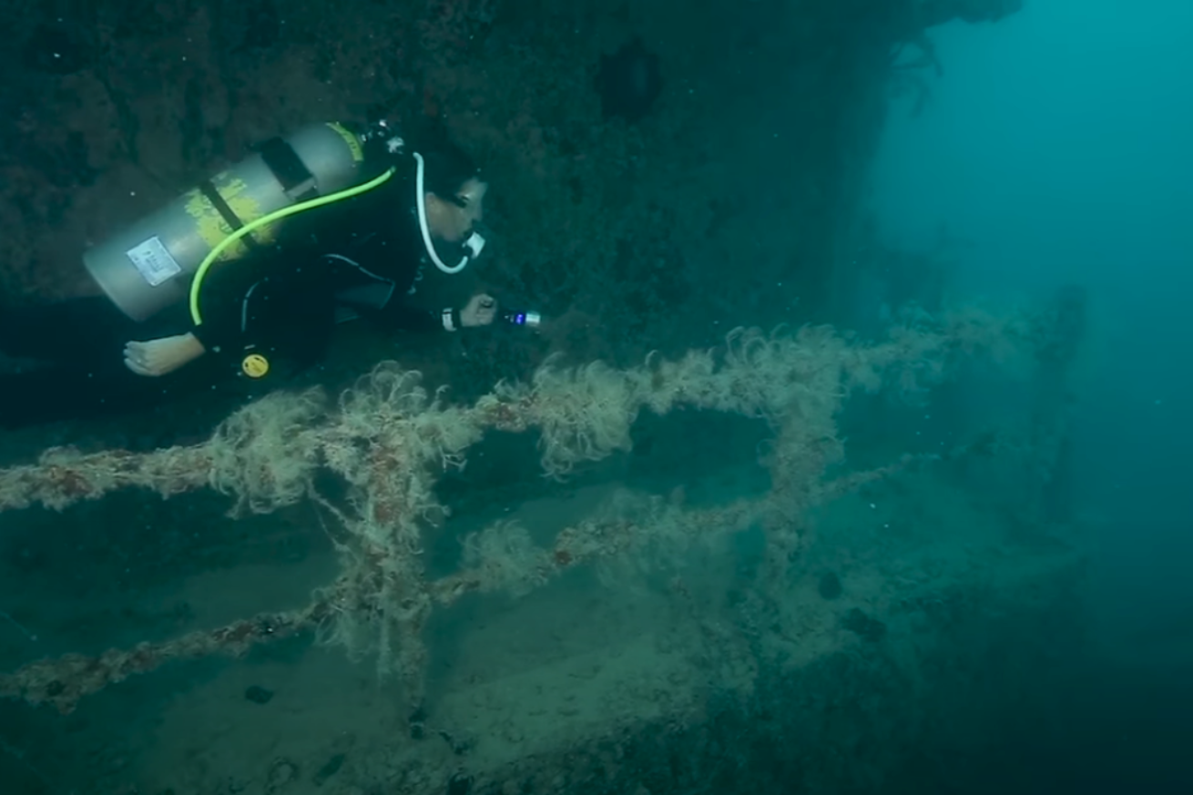 Diver swimming on shipwreck by railing